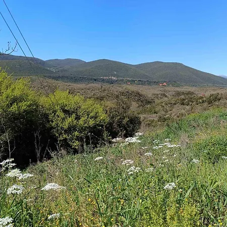 Dina's House * Leondari (Peloponnese)