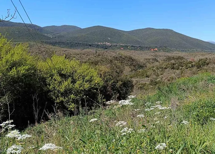 Dina's House * Λεοντάρι